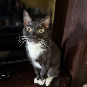 Fundraising Page: Annamarie Kinch